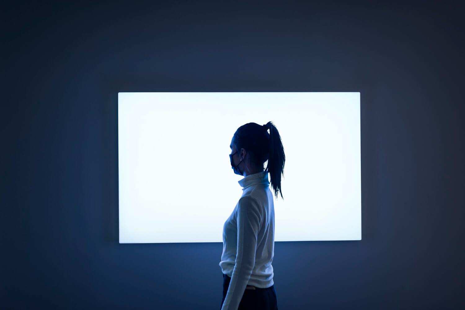 Montaje pantalla LED