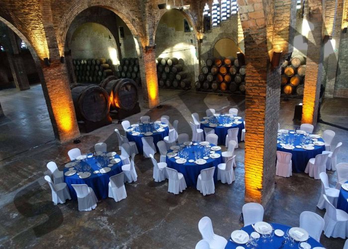 cena-gala-codorniu-2-scaled